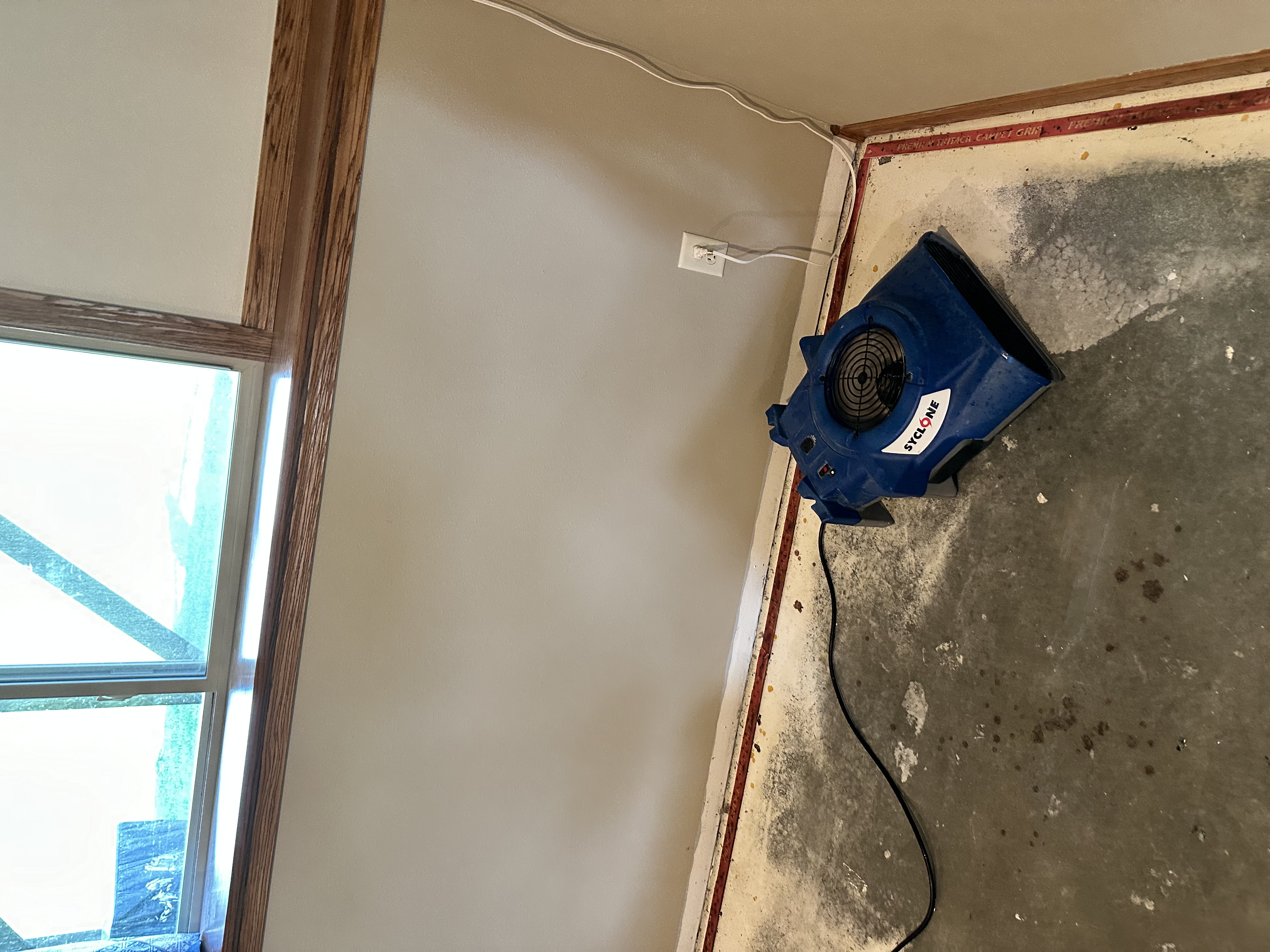 Professional air mover drying equipment positioned against wall during water damage restoration in Freeze_dry_documents_books.htm Minnesota