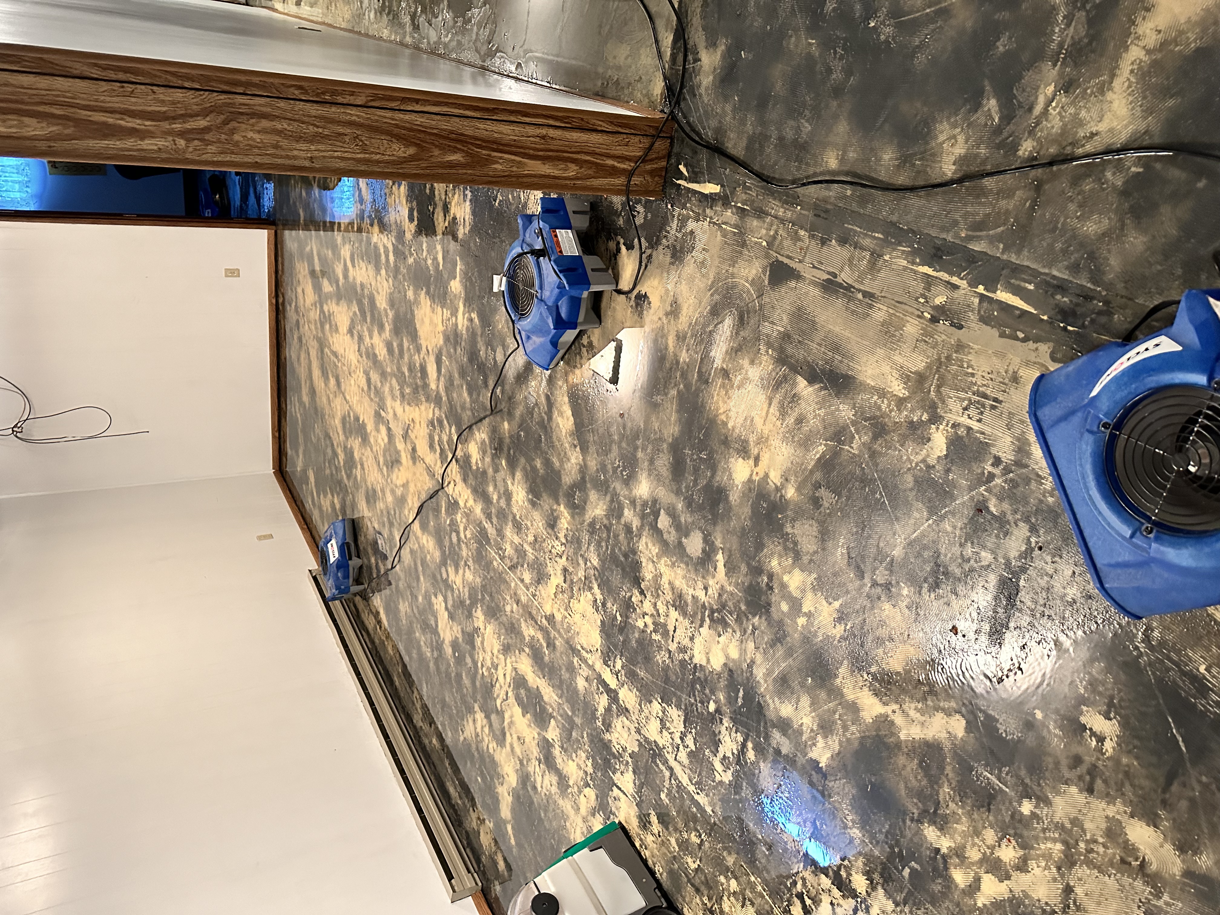 Professional water restoration with multiple industrial air movers drying basement flood damage in Minneapolis Minnesota