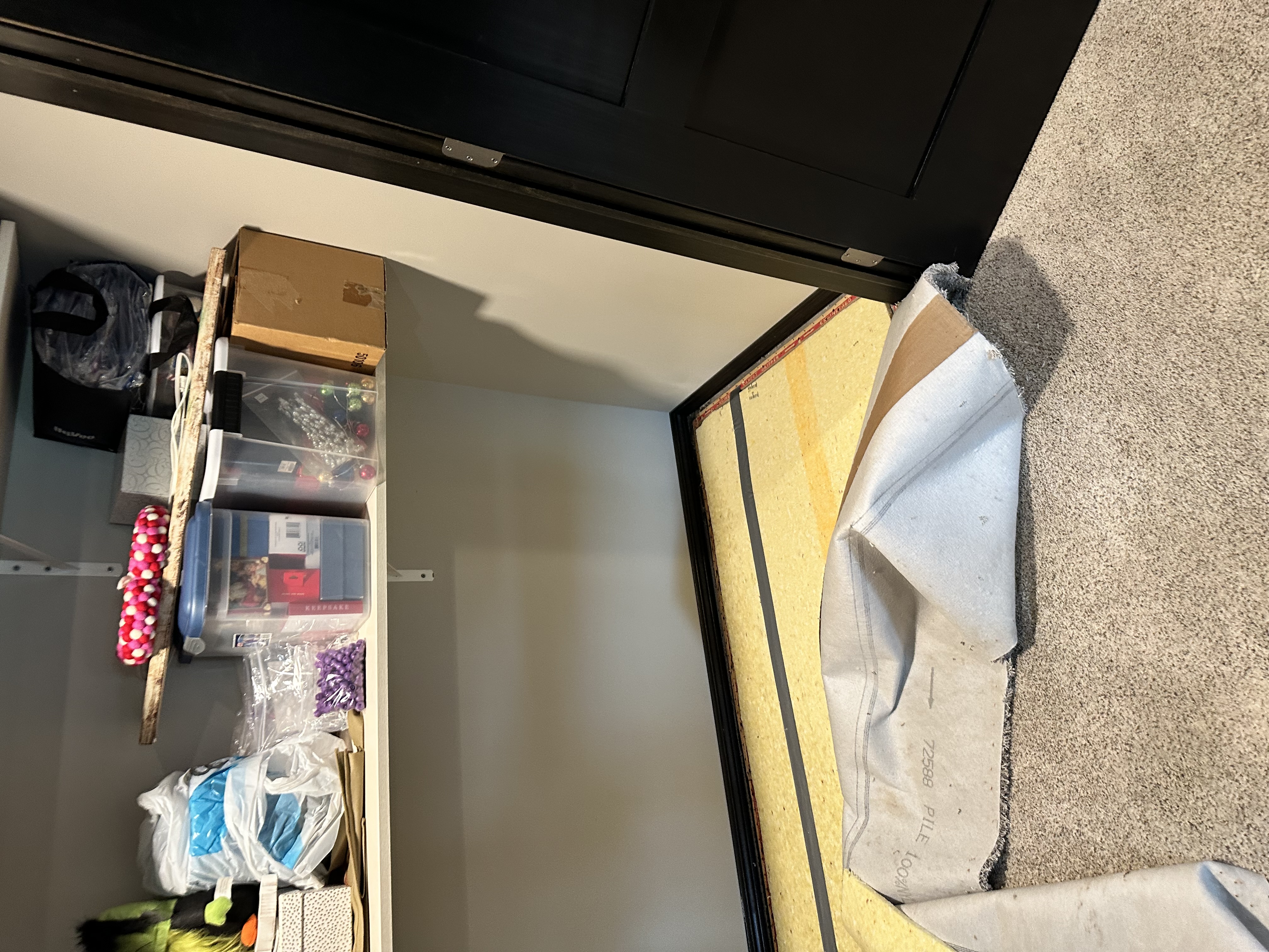 Mold remediation specialists removing water damaged carpet and treating affected areas in Twin Cities Minnesota