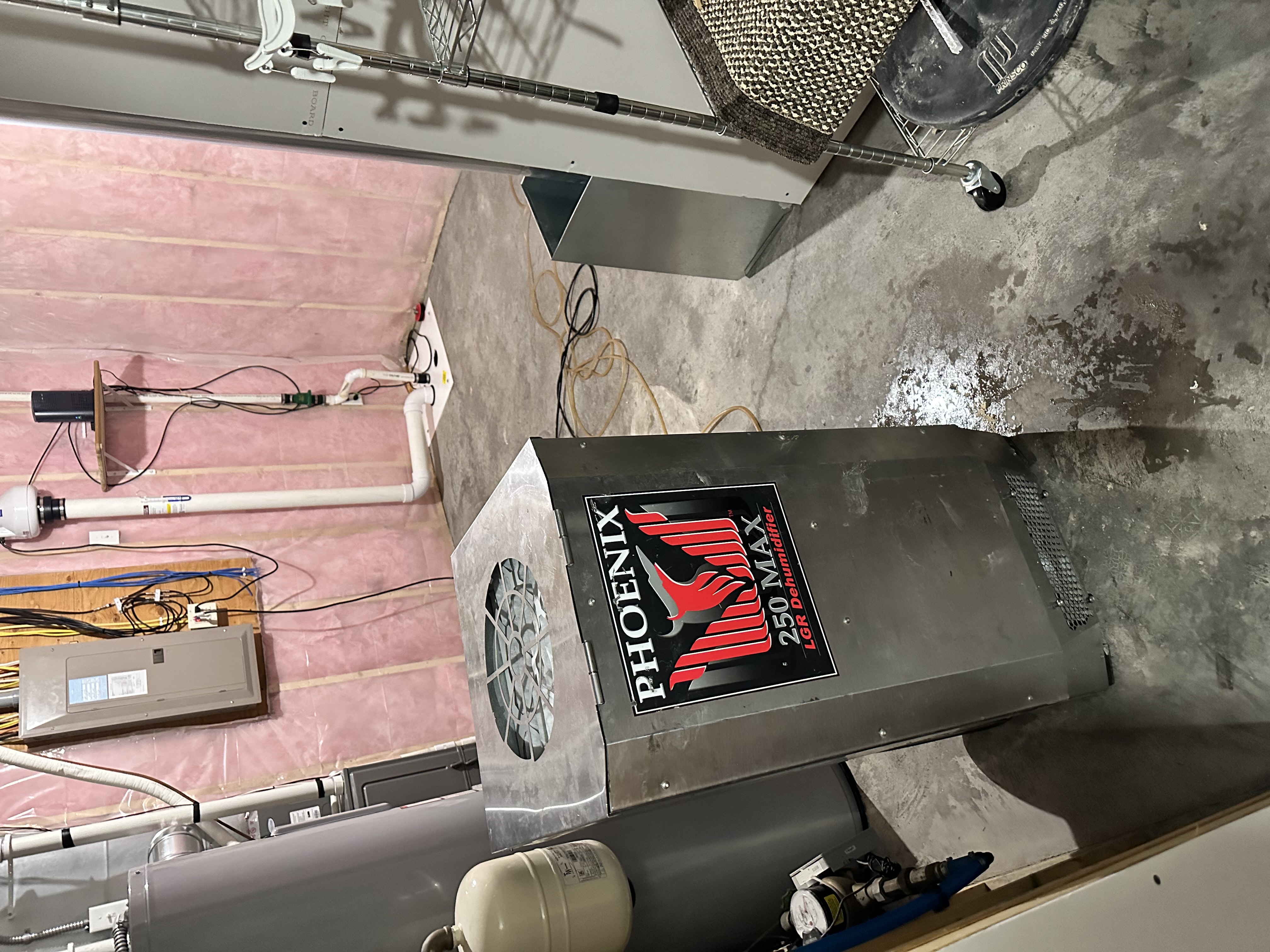 Professional Phoenix dehumidifier and restoration equipment setup in basement with pink insulation during water damage restoration Minneapolis