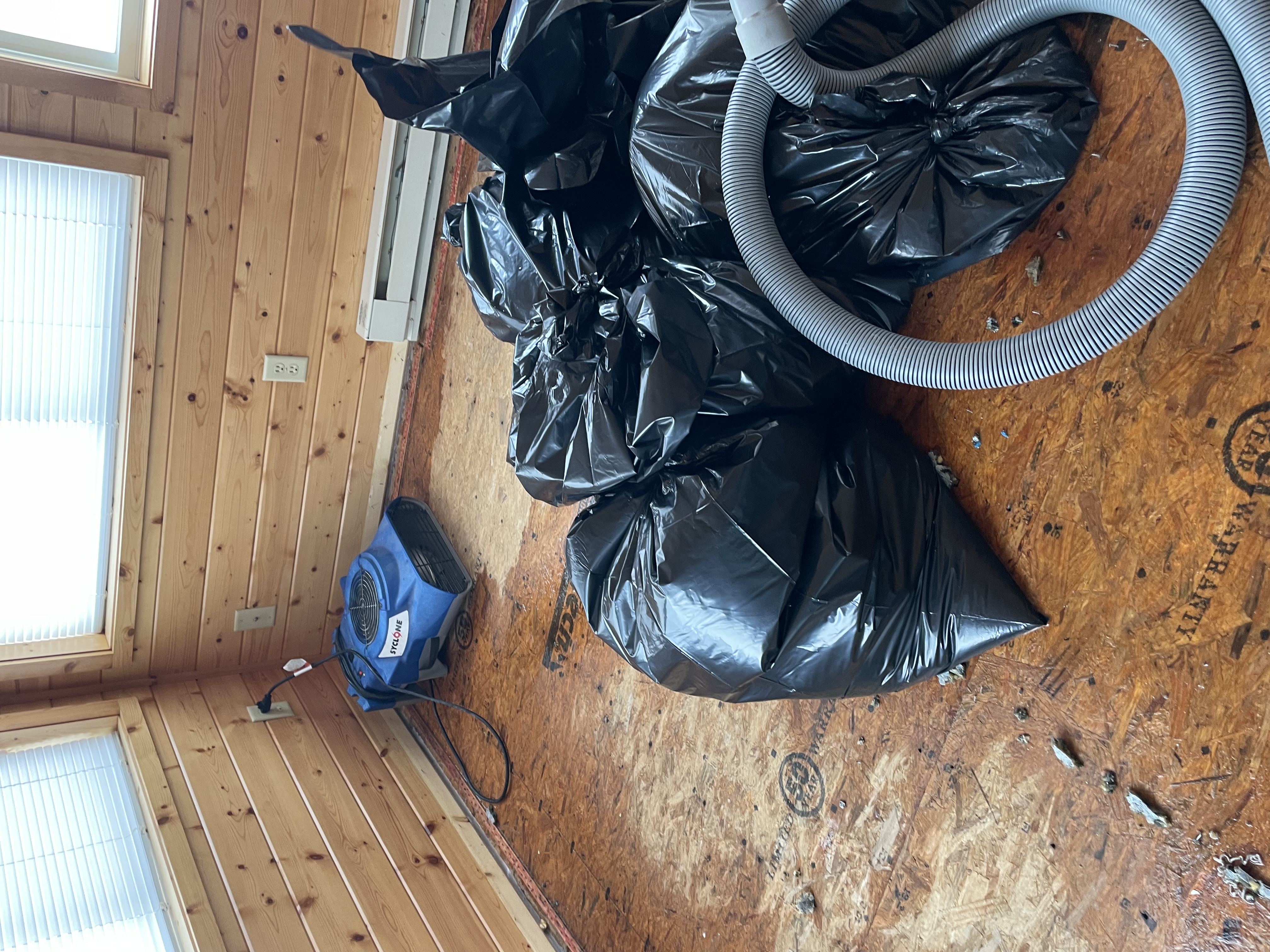Professional water damage restoration equipment in action - blue air mover fan, vacuum hose, and debris removal bags on wooden subfloor during basement flood cleanup in Saint Paul, Minnesota