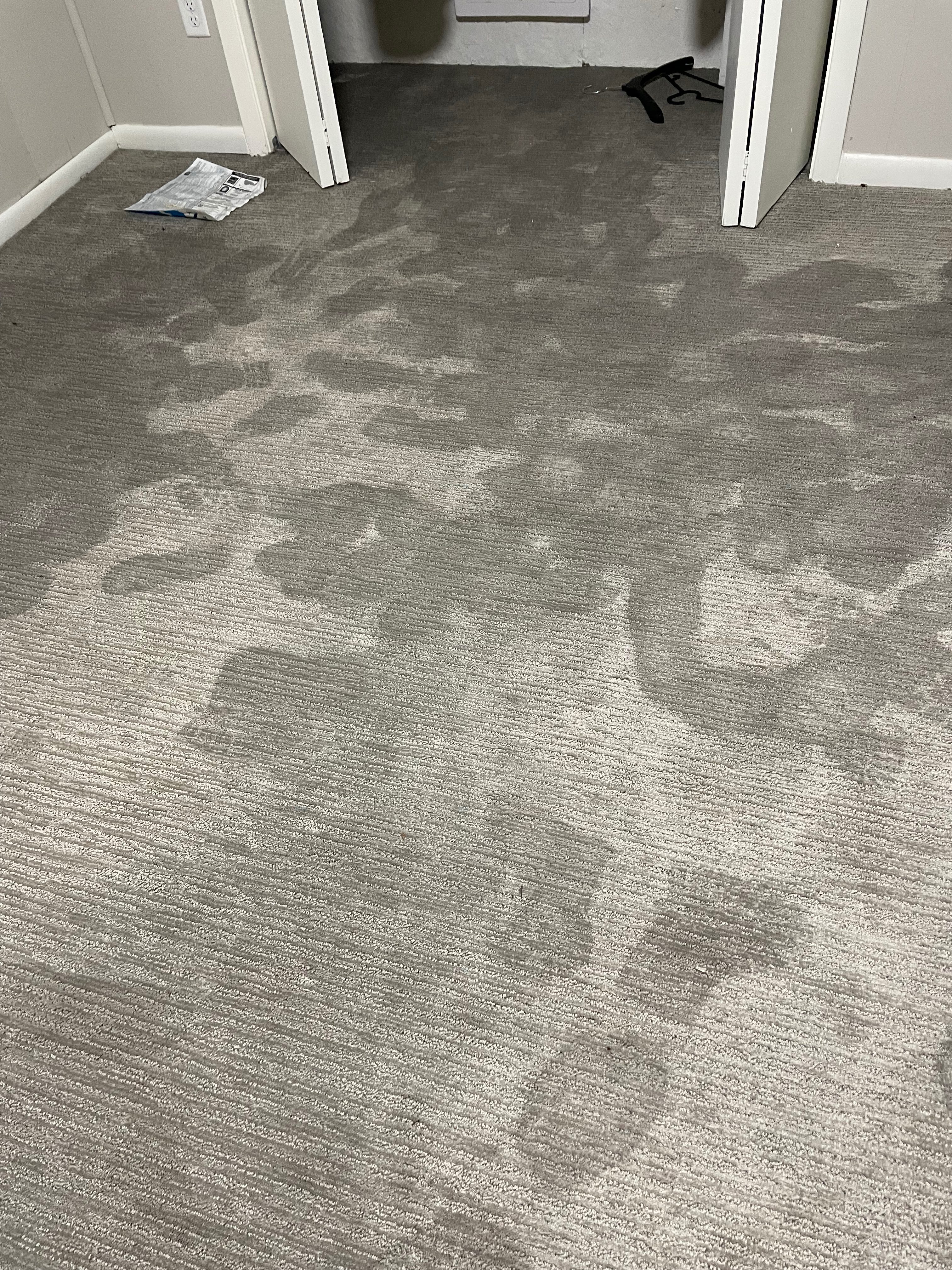 Before photo showing extensive water damage to carpet with severe staining patterns across large area that American Restores Group successfully restored for satisfied customer Ryan Hansen in Minneapolis Minnesota
