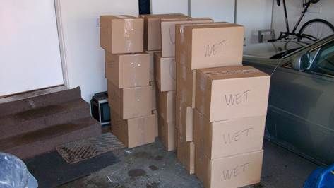 boxed-wet-items.jpg