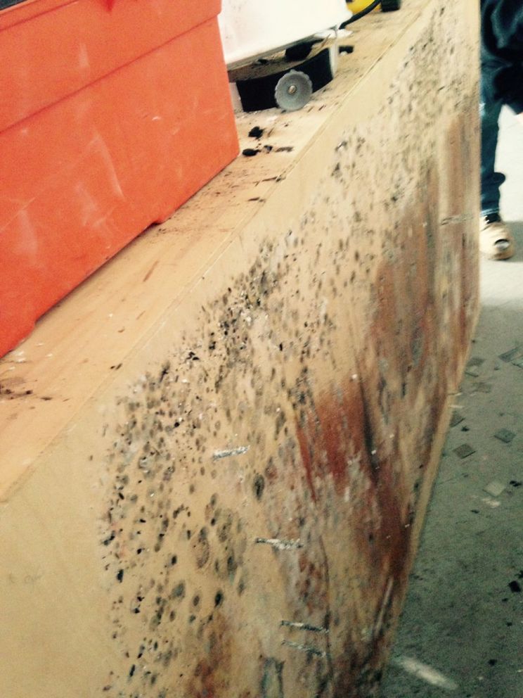 mold-damage.Z.jpg