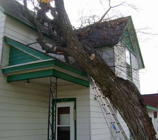 storm-damage-cleanup.jpg